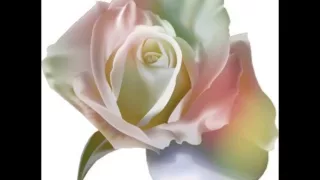 Les Roses Blanches ( Michèle Torr ).wmv