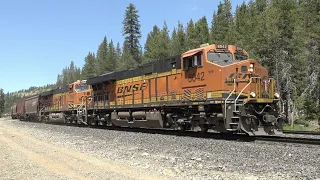 4K: RARE BNSF OVER DONNER PASS (July 2022)