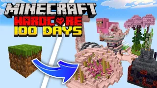 I Survived 100 Days on ONE BLOCK Skyblock in Minecraft