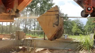 Quarter Sawing Oak the PROPER way!