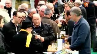 Aude Henneville Journal Angers Fête des vins d'Anjou à Chalonnes sur Loire