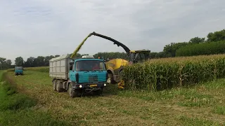 SKLÍZÍME KUKUŘICI DO SILÁŽÍ PRO BIOPLYNKY. NEW HOLLAND FENDT TATRA JOHN DEERE / HARVEST OF CORN 2022