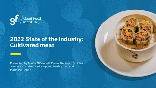 2022 State of the Industry : Cultivated meat and seafood