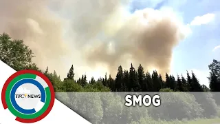 Smoke from Quebec wildfires blankets Montreal | TFC News British Columbia, Canada