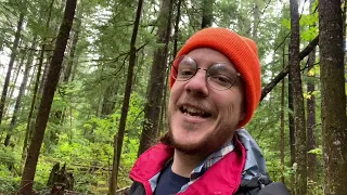 Washington Foraging: King Bolete, White Chanterelle and More in Gifford Pinchot (Part 1)