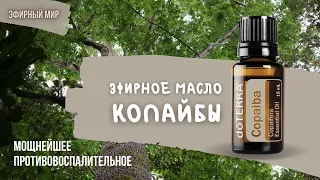 🪵Эфирное масло - копайба | Мощнейшее противовоспалительное средство