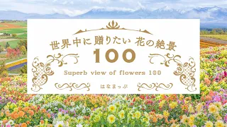 名画のような日本の四季【花の絶景100〜Superb view of flowers 100 Japan】花畑写真癒し動画