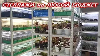 СТЕЛЛАЖИ для 🌺 ЦВЕТОВ 🌺 с подсветкой ✅ НА ЛЮБОЙ  КОШЕЛЕК