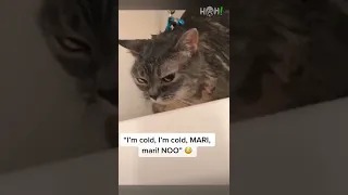 Memes I found on the tiktok pt.64