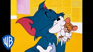 Tom und Jerry auf Deutsch | Können Sie Nicht Einfach Freunde Sein? | WB Kids