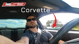 COCKY Corvette Owner Meets the TERMINATOR Cobra for The FIRST TIME