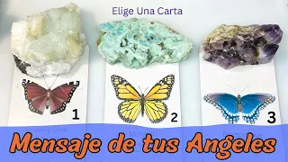 Mensaje Muy Importante de tus Angeles - Elige una Carta - Tarot Interactivo