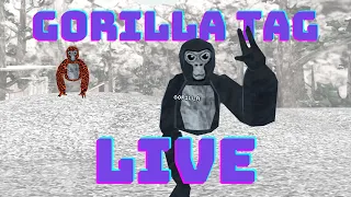 GORILLA TAG WITH ViEWERS