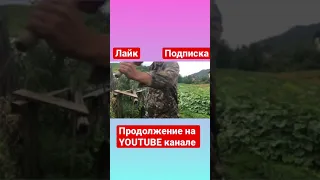 Такой забор никому не нужен😂😂#юмор#shorts