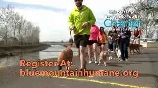 BLUE MOUNTAIN HUMANE SOCIETY - Dog Jog 2016