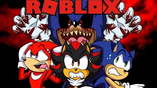 SONIC AND SHADOW AND KNUCKLES PLAY SONIC  EXE ROLBOX SURVIVAL GAMES!