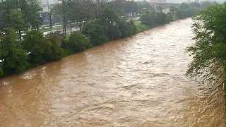 Al límite caudal del río Medellín - Teleantioquia Noticias