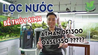 Chọn lọc cho bể thủy sinh - Cần lưu ý gì?