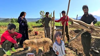 Schließen Sie sich den Bemühungen der Familie Ali an, Holz zu kaufen, um einen grünen Garten