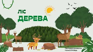 Ліс. ДЕРЕВА