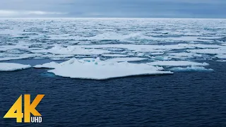 Ambient Arctic in 4K UHD - Soothing Music and Ice-Covered Ocean Landscapes