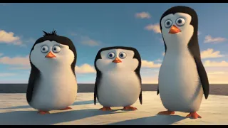 Вітаю!  А ви моя сім'я? - Пінгвіни Мадагаскару (Penguins of Madagascar) 2014 рік
