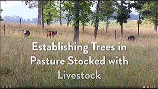 Shenandoah Valley AREC Field Day 2020 - Establishing Trees in Pasture Stocked with Livestock