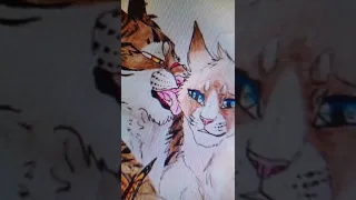 ♡Tiger Star, Golden Flower and Sasha♡ warrior cat edit