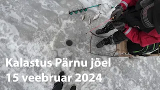 Kalastus Pärnu jõel 15 veebruar 2024