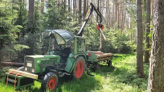 Fendt 200s | Country 550 Master🏗| erster Einsatz | Forstkran | Brennholz🪵 | Holz rücken🌲 #37