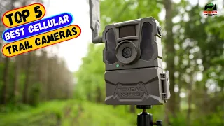 Best Cellular Trail Cameras You can Buy Right Now [2024]