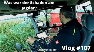 Vlog #107 Was war der Schaden am Jaguar? Noch 50ha!