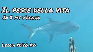 Pescasub | IL PESCE DELLA VITA