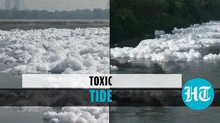 Watch: Yamuna river covered in toxic foam; Delhi residents react to pollution