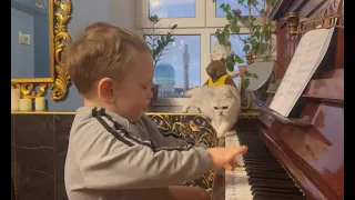 Cat, don't disturb me, when I am playing music! - Кошка, не мешай мне музицировать!