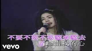 王菲 - 容易受傷的女人