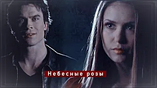 ▻Damon & Elena - Небесные розы