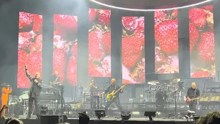 Digging In The Dirt - Peter Gabriel - Toronto, Canada, September 11, 2023