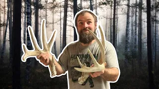 3 Tips to Find MORE Shed Antlers