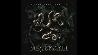 Meshuggah - Catch Thirtythree [Full Instrumental Album Cover]