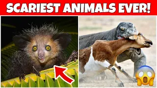 10 Most Scariest Animals in the World - Fun Facts About Animals