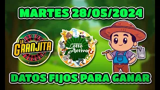 ✅ DATOS DE LOTTO ACTIVO Y LA GRANJITA PARA HOY 28/05/2024  - Tus Datos Fijos 🎯