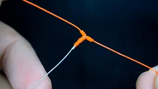 Make a T knot using fishing wire for bottom fishing