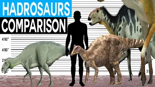 Dinosaur Size Comparison | Hadrosaurs