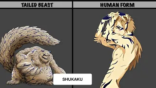 TAILED BEAST IN HUMAN FORM | Naruto | Boruto | AnimeData PH