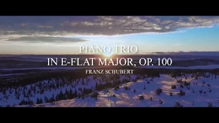 Piano Trio in E flat major, Op 100 (Schubert)