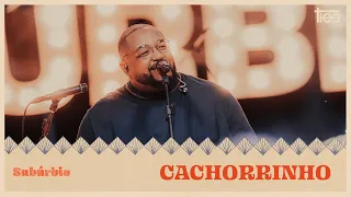 Tiee - Cachorrinho (Ao Vivo - Subúrbio)