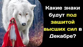 Какие знаки будут под защитой высших сил в Декабре?