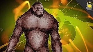 Bigfoot DNA? - Science on the Web #33