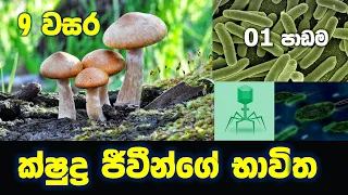 Grade 9 Science in Sinhala Unit 01 |Uses of micro organisms | ක්ෂුද්‍ර ජිවින්ගේ භාවිත